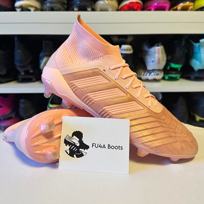 Adidas Predator 18.1 FG/AG Spectral Mode.